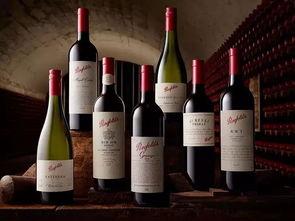 葡萄酒最新爆料文案,独家爆料带你领略非凡风味 第2张 葡萄酒最新爆料文案,独家爆料带你领略非凡风味 第2张